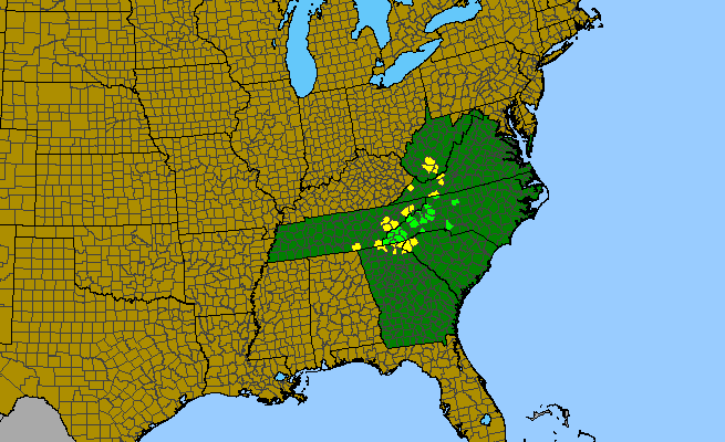The range of Cardamine flagellifera